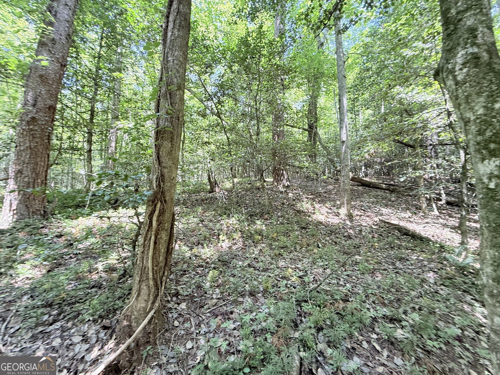 189 Crystal Wood Drive Clarkesville - 26