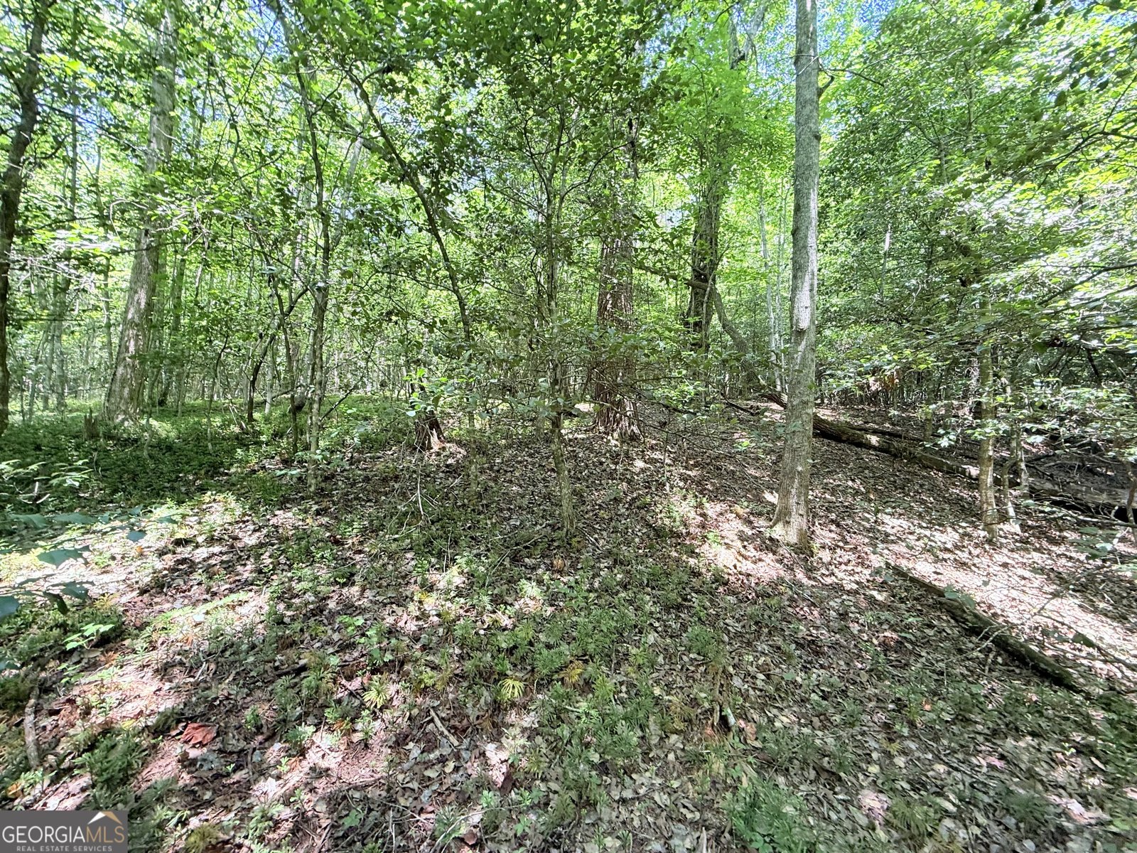 189 Crystal Wood Drive Clarkesville - 27