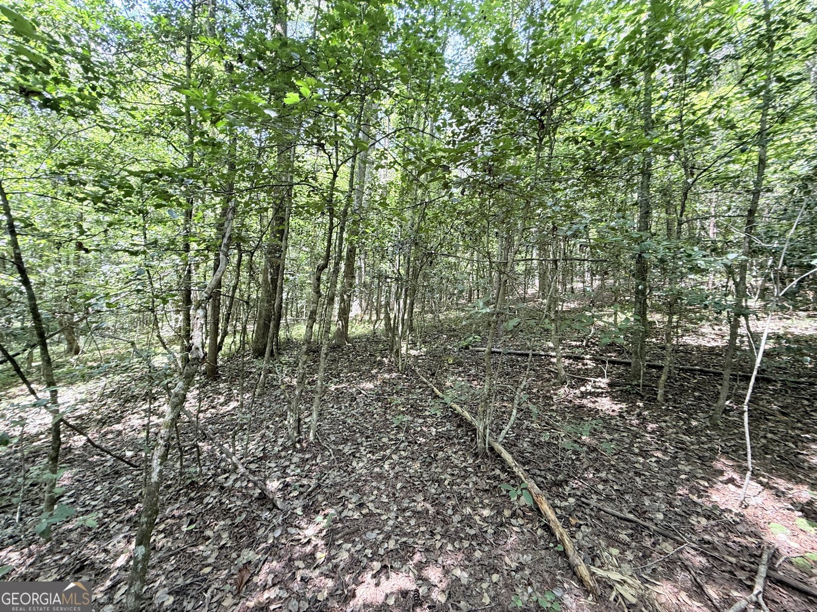 189 Crystal Wood Drive Clarkesville - 28