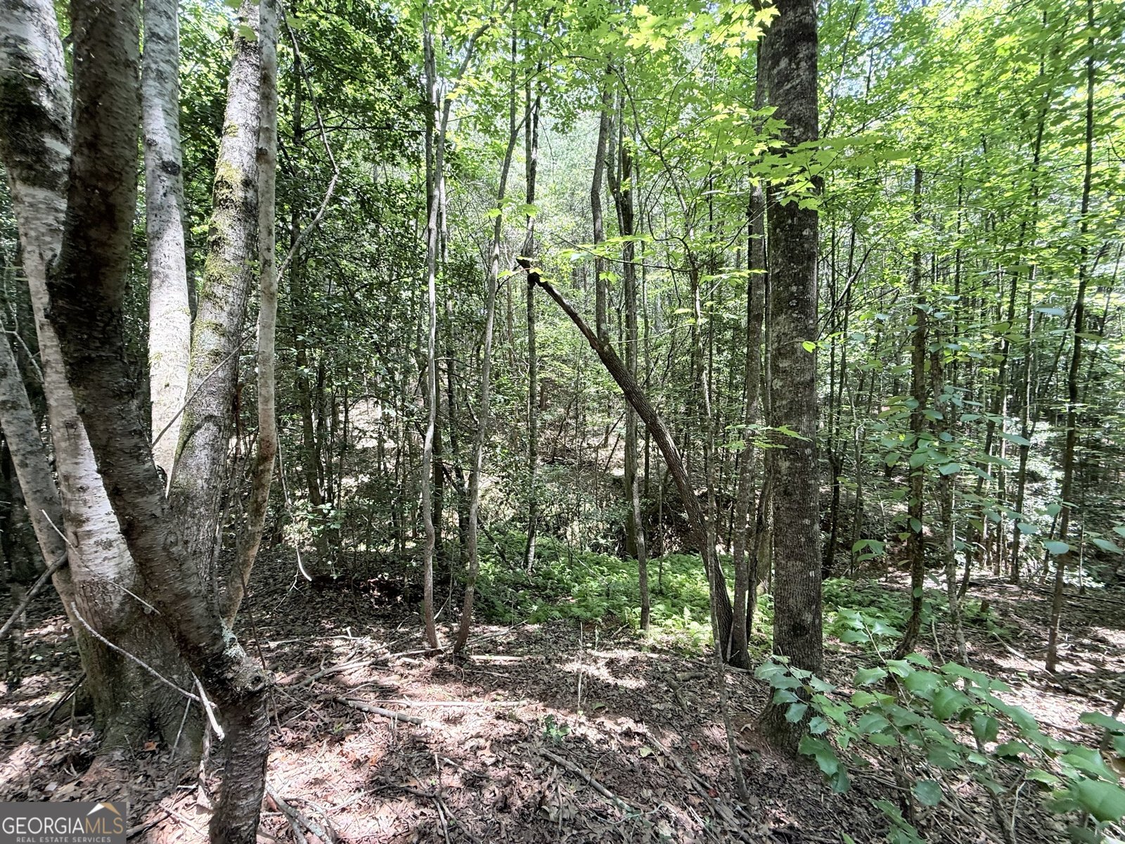 189 Crystal Wood Drive Clarkesville - 29