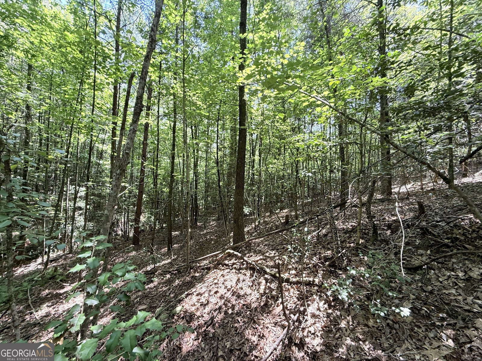 189 Crystal Wood Drive Clarkesville - 30
