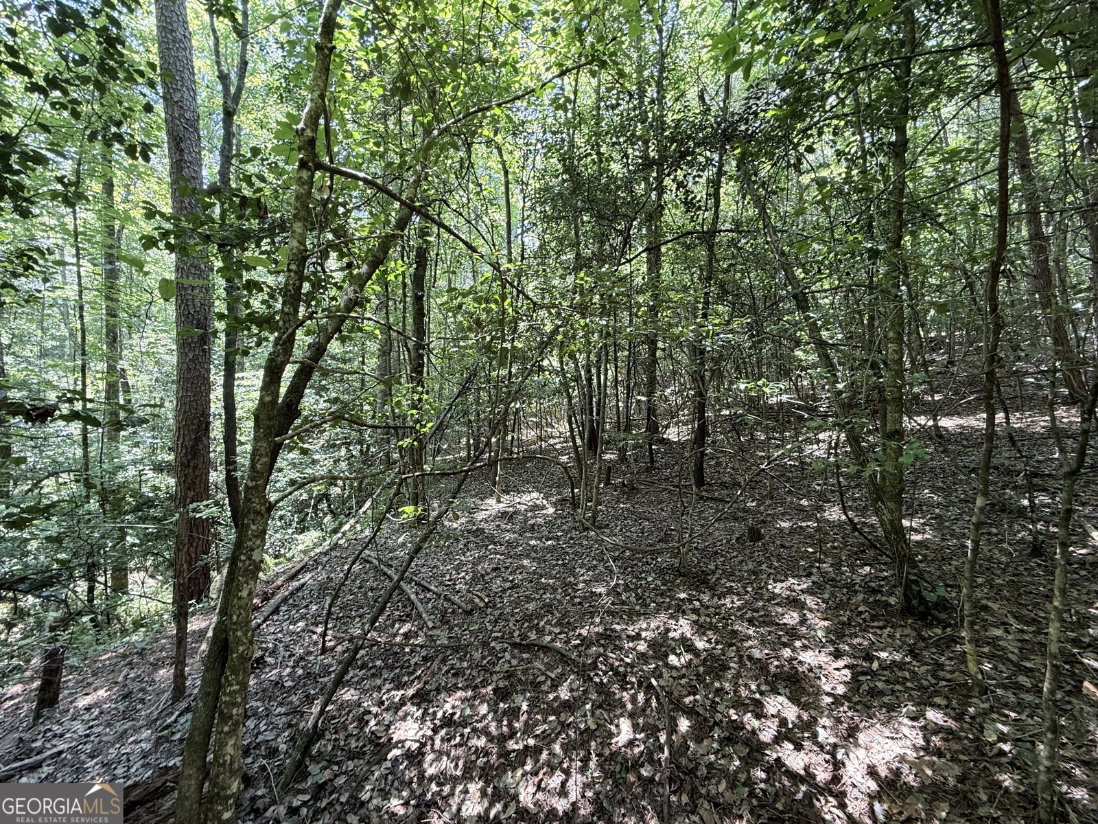 189 Crystal Wood Drive Clarkesville - 31