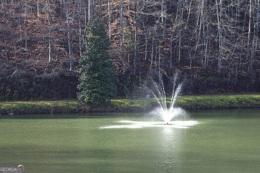 64 Kismet Court Ellijay - 50