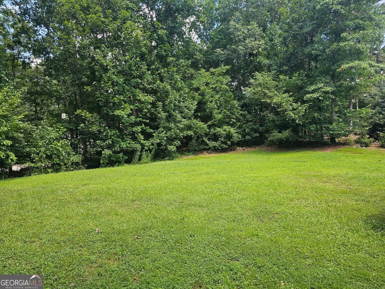 60 Hillside Drive Drive Dawsonville - 33