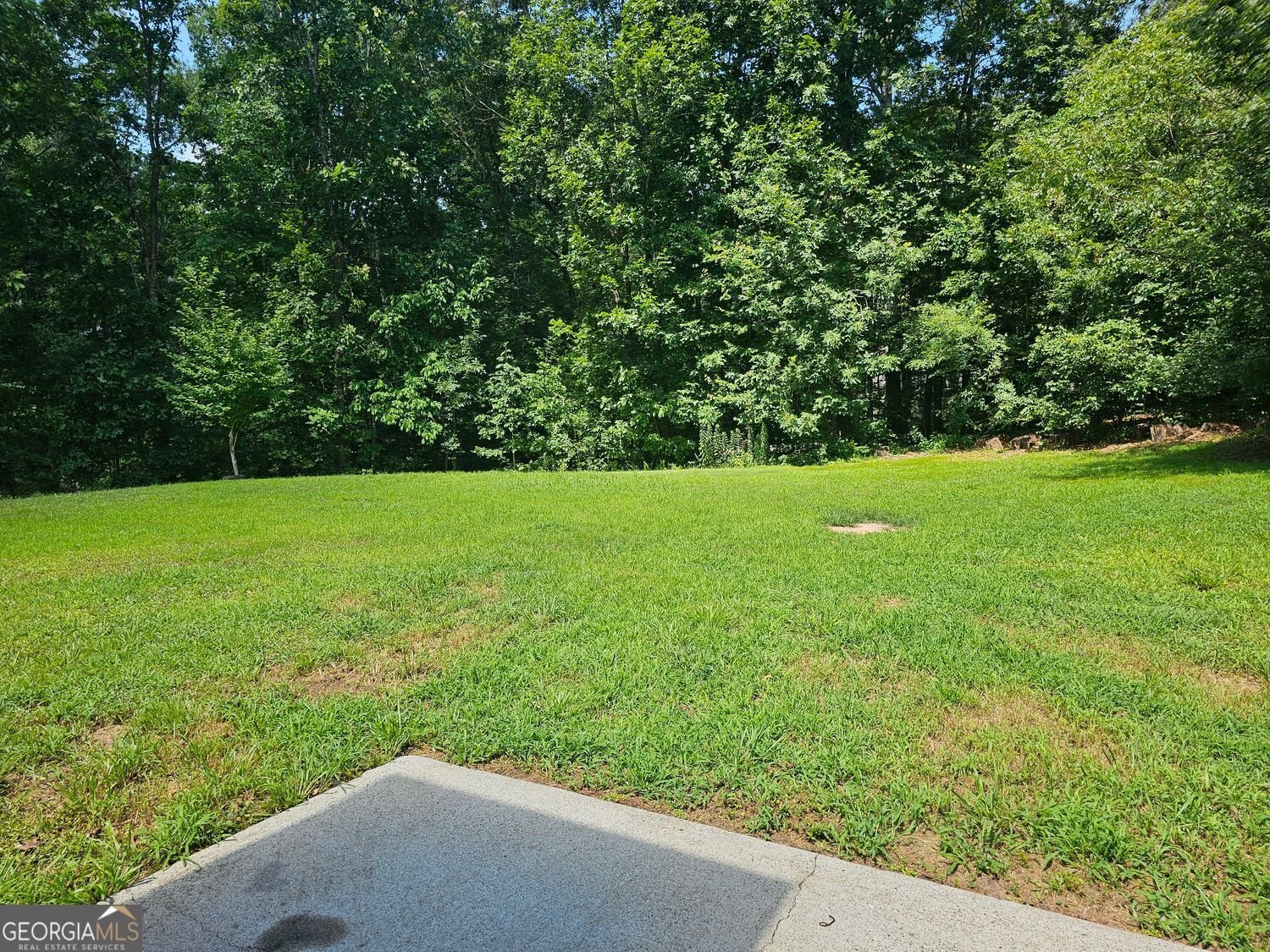 60 Hillside Drive Drive Dawsonville - 34