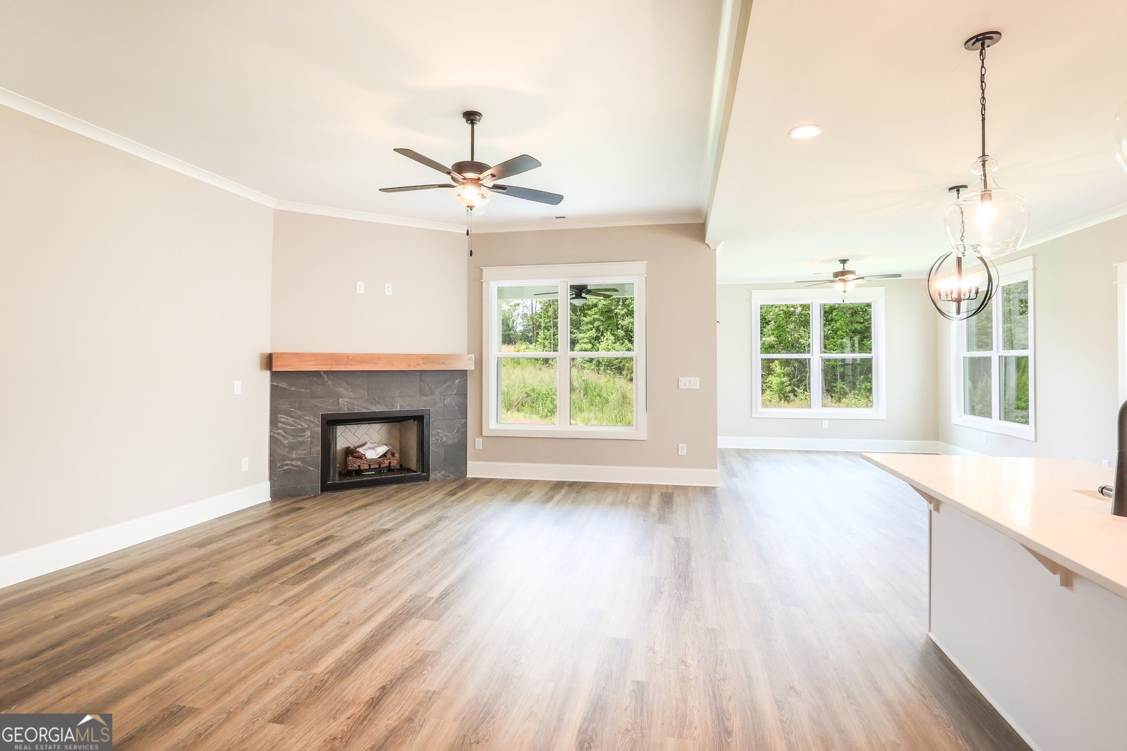 390 Redhaven Drive Senoia - 9