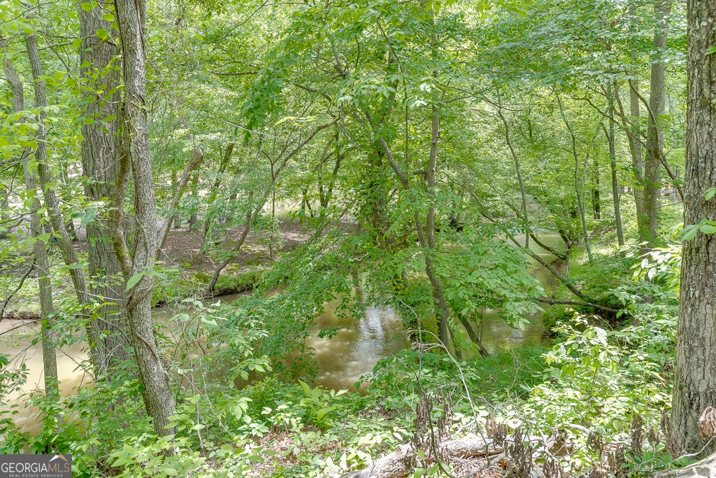 5065 Shade Creek Crossing Cumming - 27