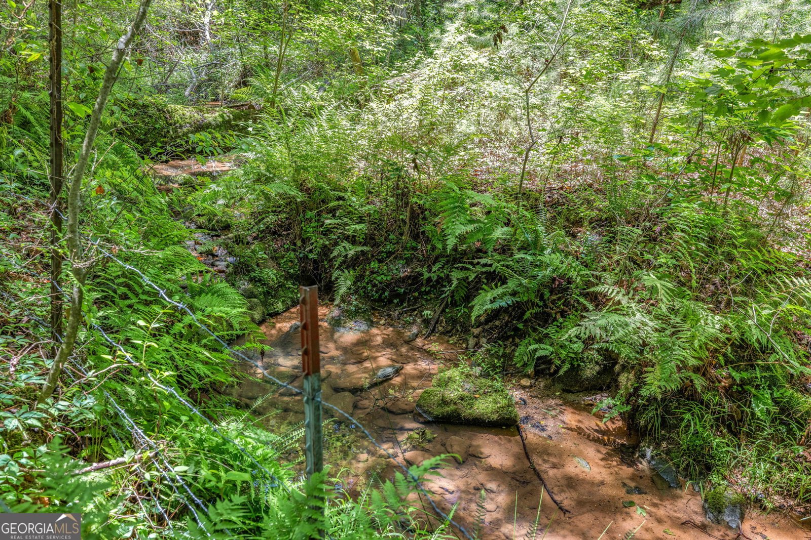 177 Silver Shoals Road Toccoa - 11