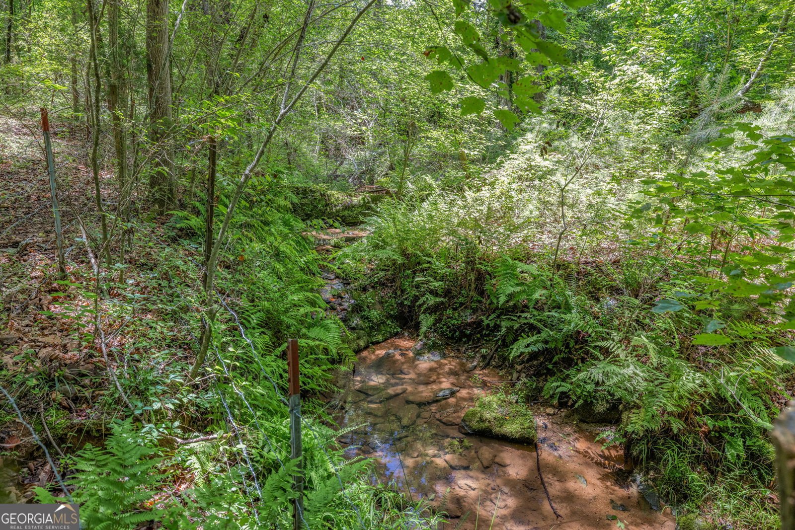 177 Silver Shoals Road Toccoa - 12
