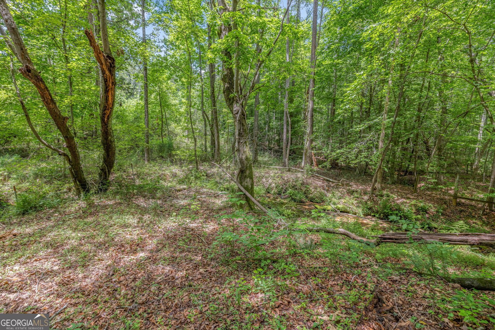 177 Silver Shoals Road Toccoa - 13