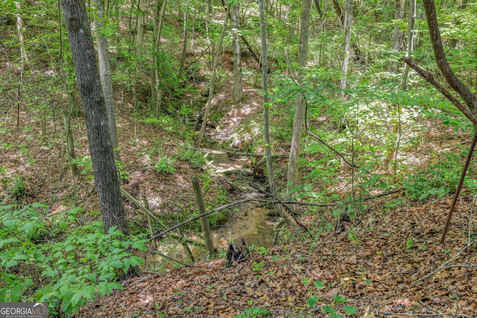 177 Silver Shoals Road Toccoa - 42