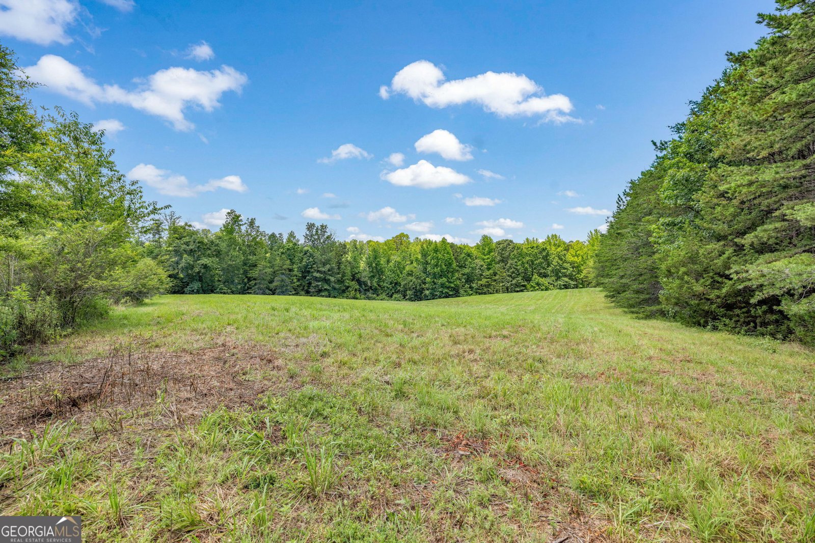 177 Silver Shoals Road Toccoa - 8