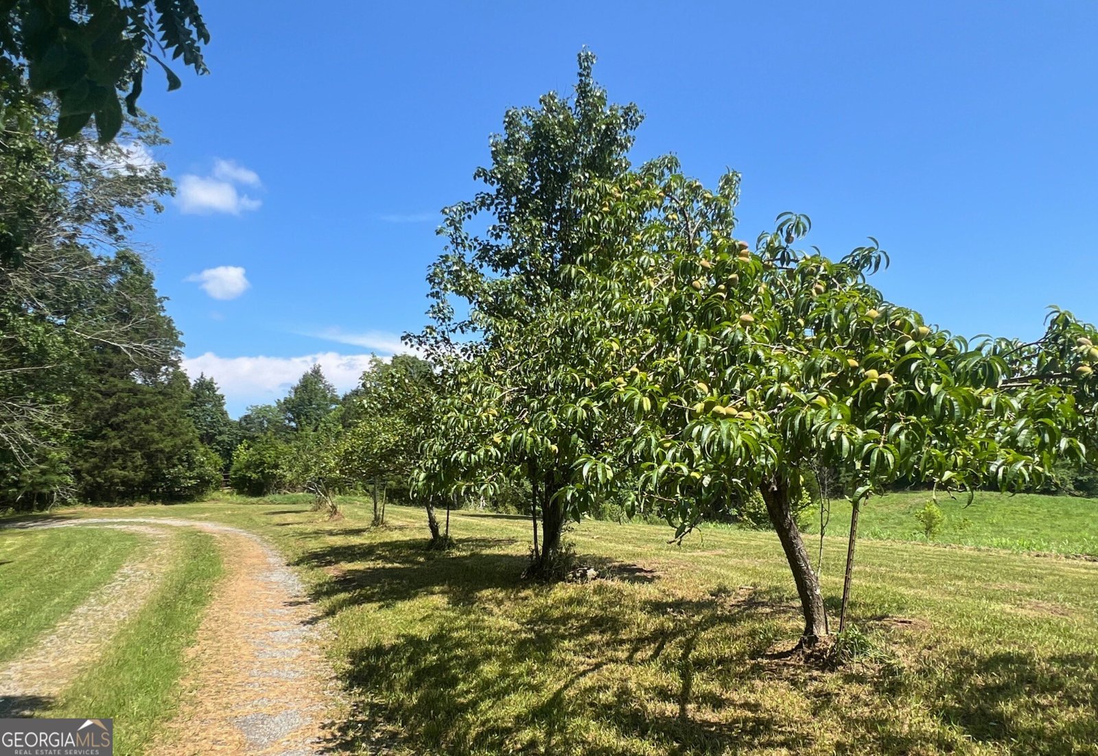 548 Knight Bottom Road Fairmount - 1