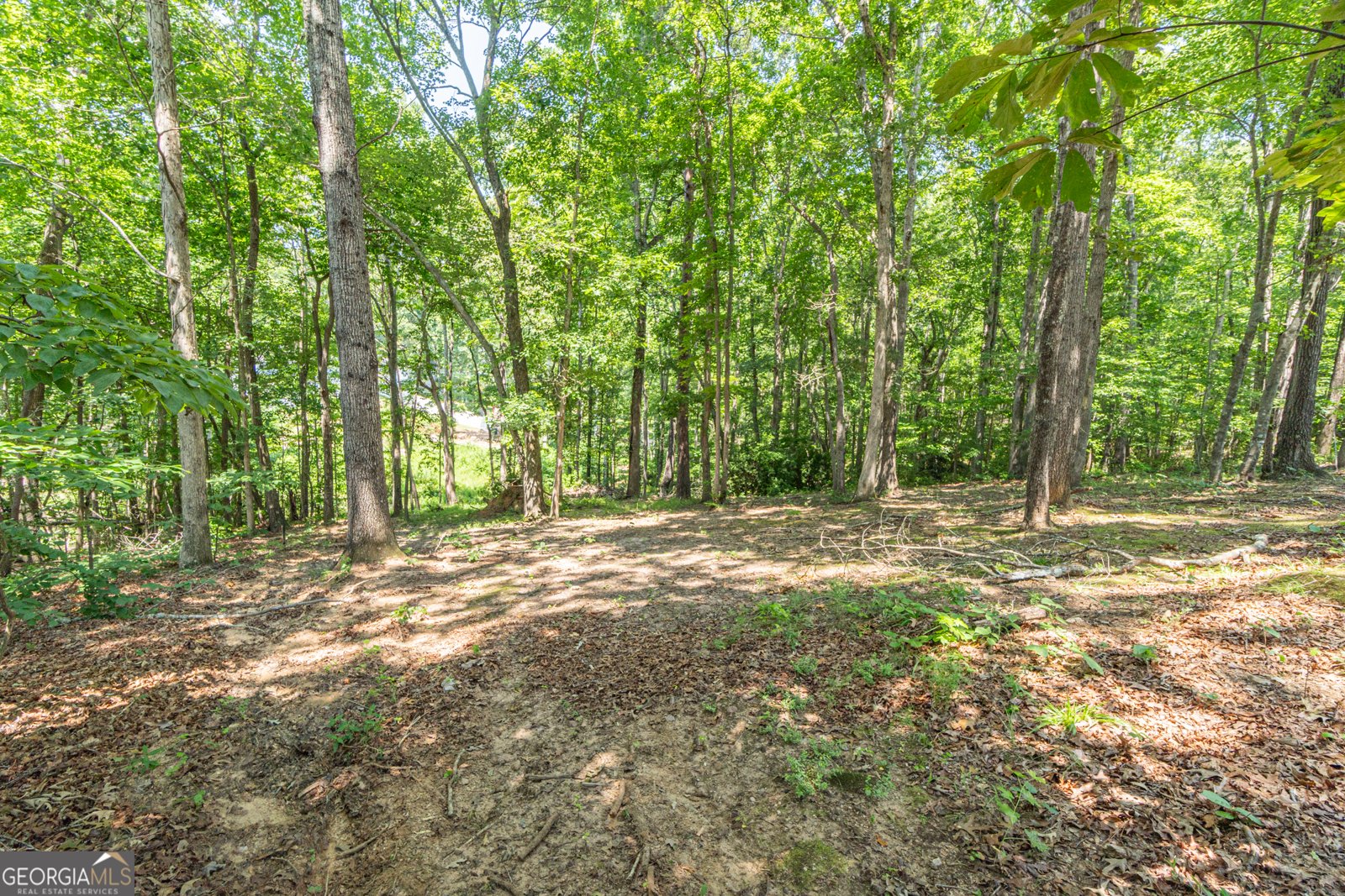 4872 Hunt Club Drive Flowery Branch - 8