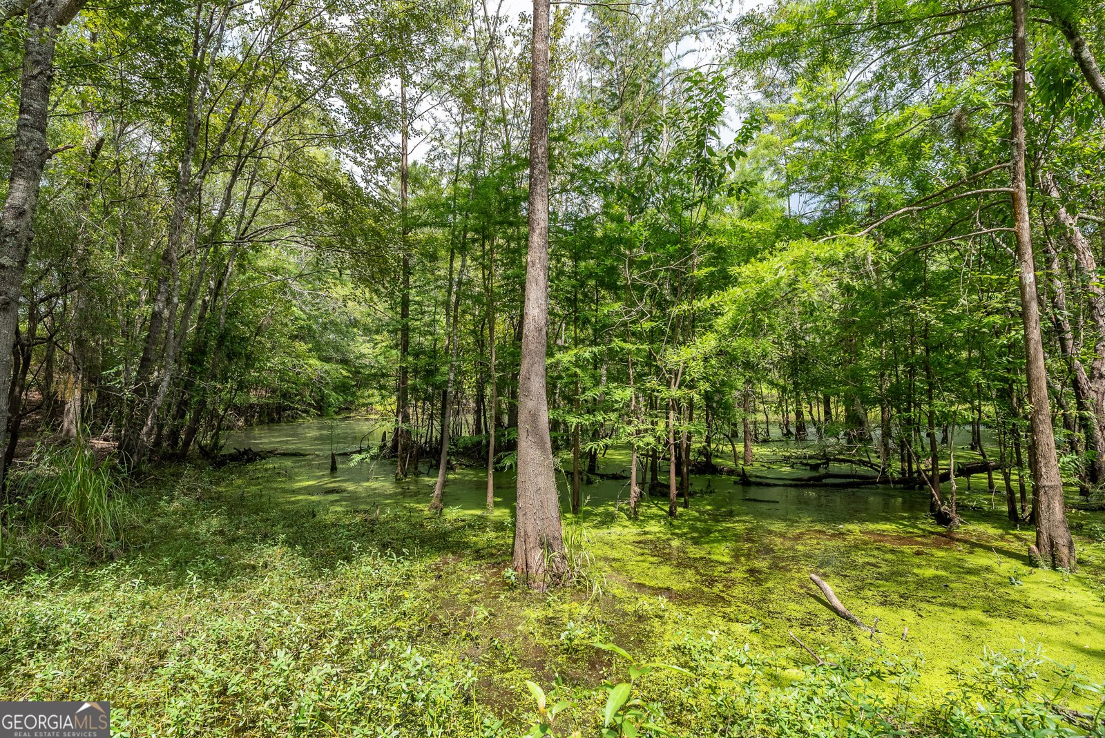 519 Wiltsie Way Waynesville - 29