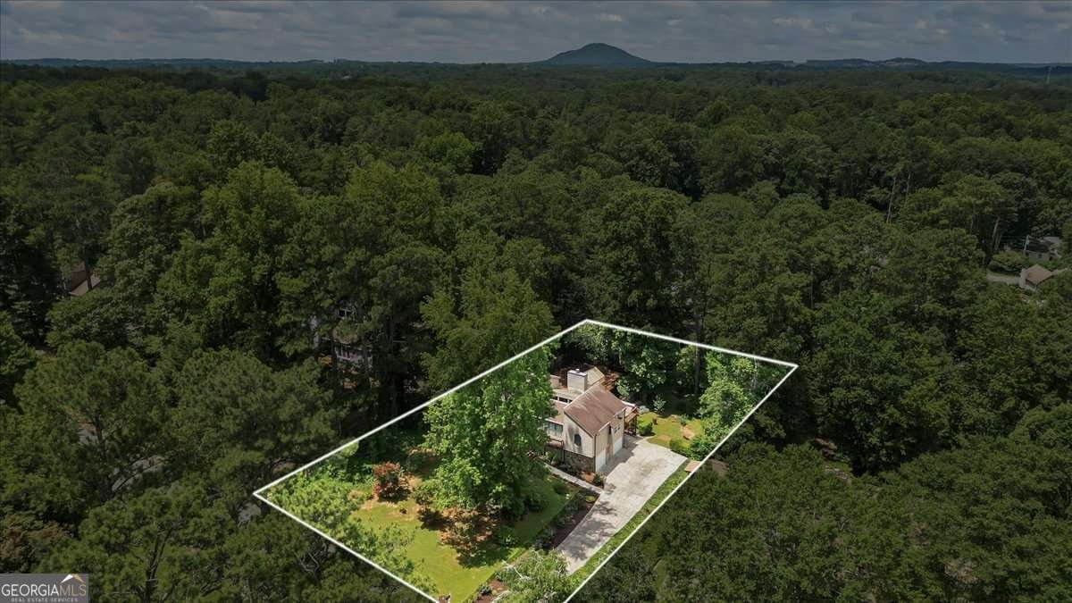 2289 Wilderness Way Marietta - 45