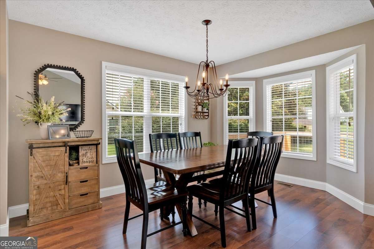 294 Shenandoah Drive Hiram - 15