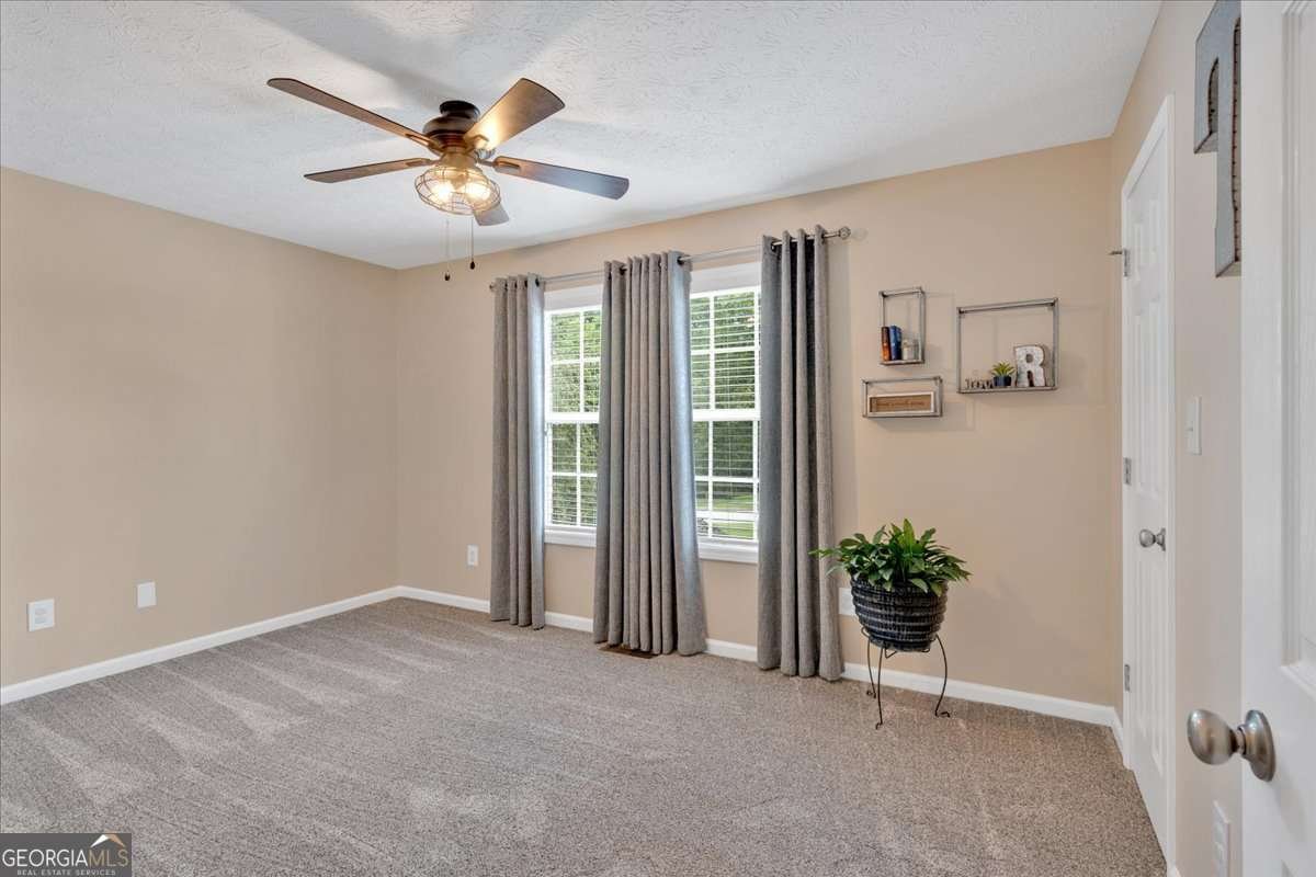 294 Shenandoah Drive Hiram - 29