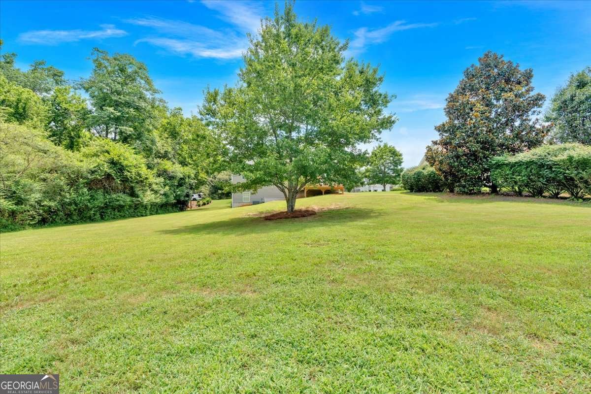294 Shenandoah Drive Hiram - 36