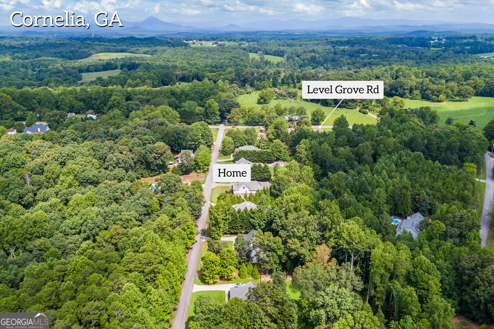 212 Fernbank Drive Cornelia - 60