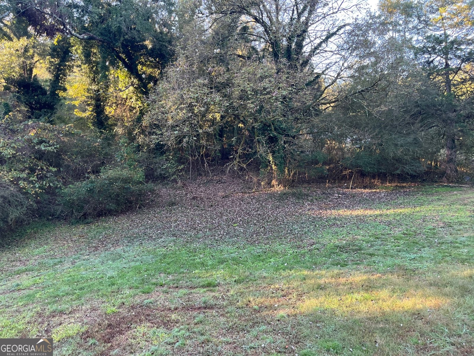 200 Cheatham Drive Athens - 34