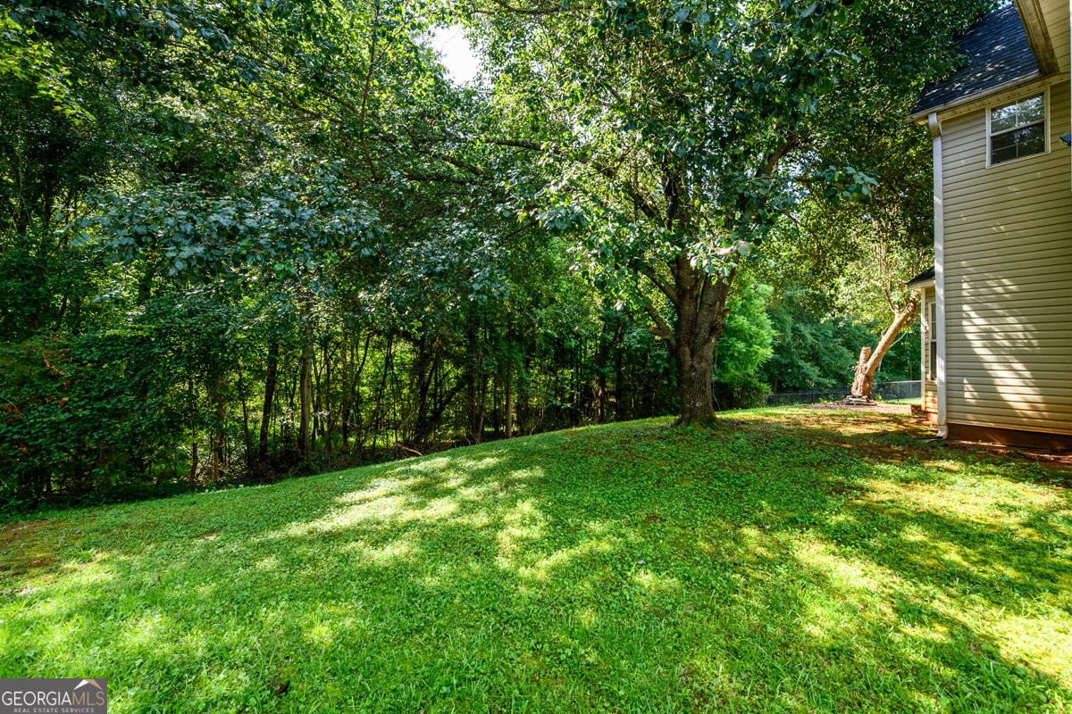 4827 Snap Creek Lane Decatur - 47