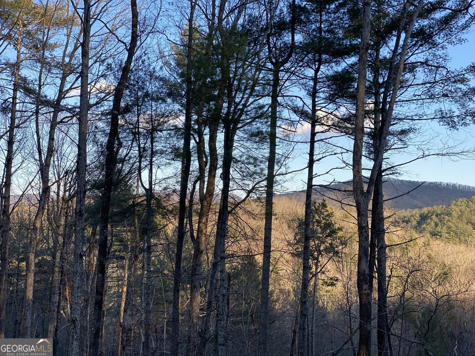 309 Highland Trail Cleveland - 8