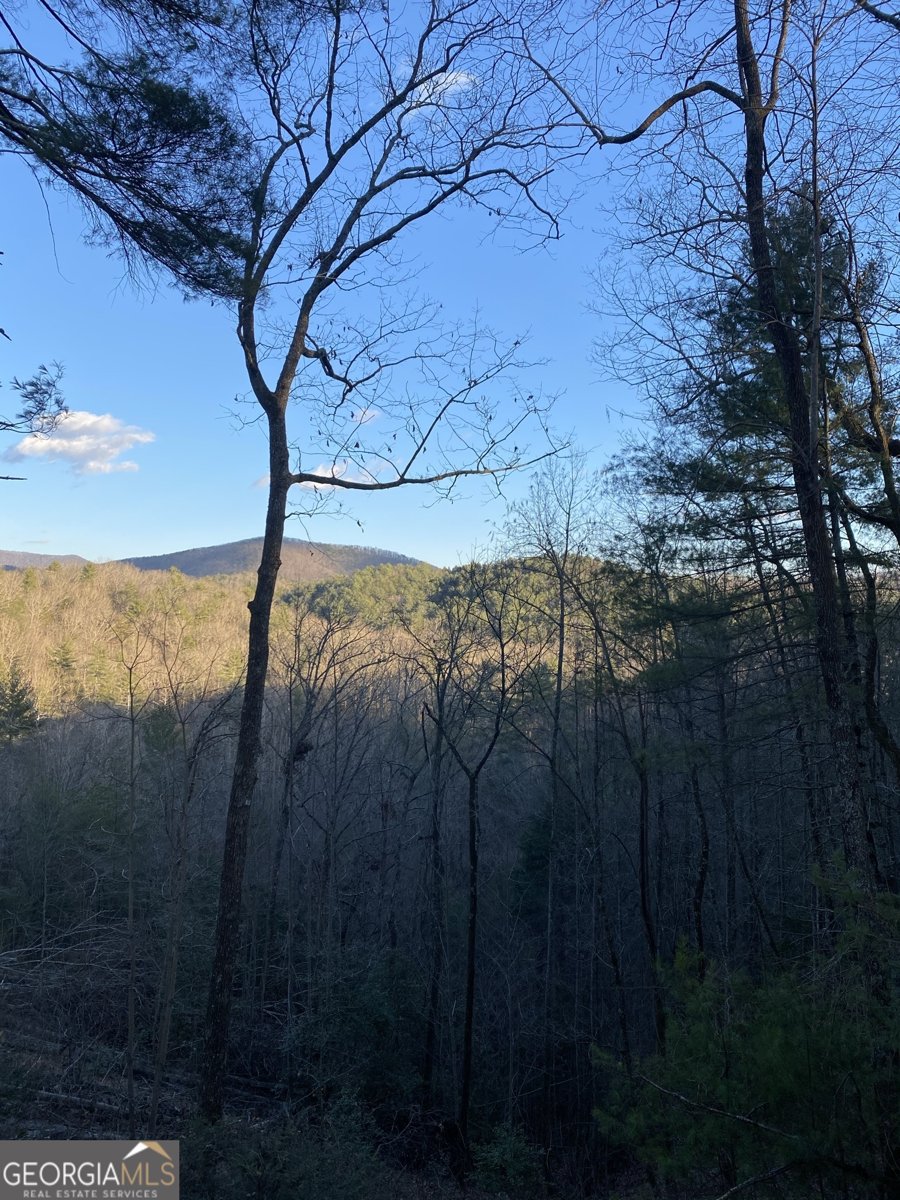 309 Highland Trail Cleveland - 9