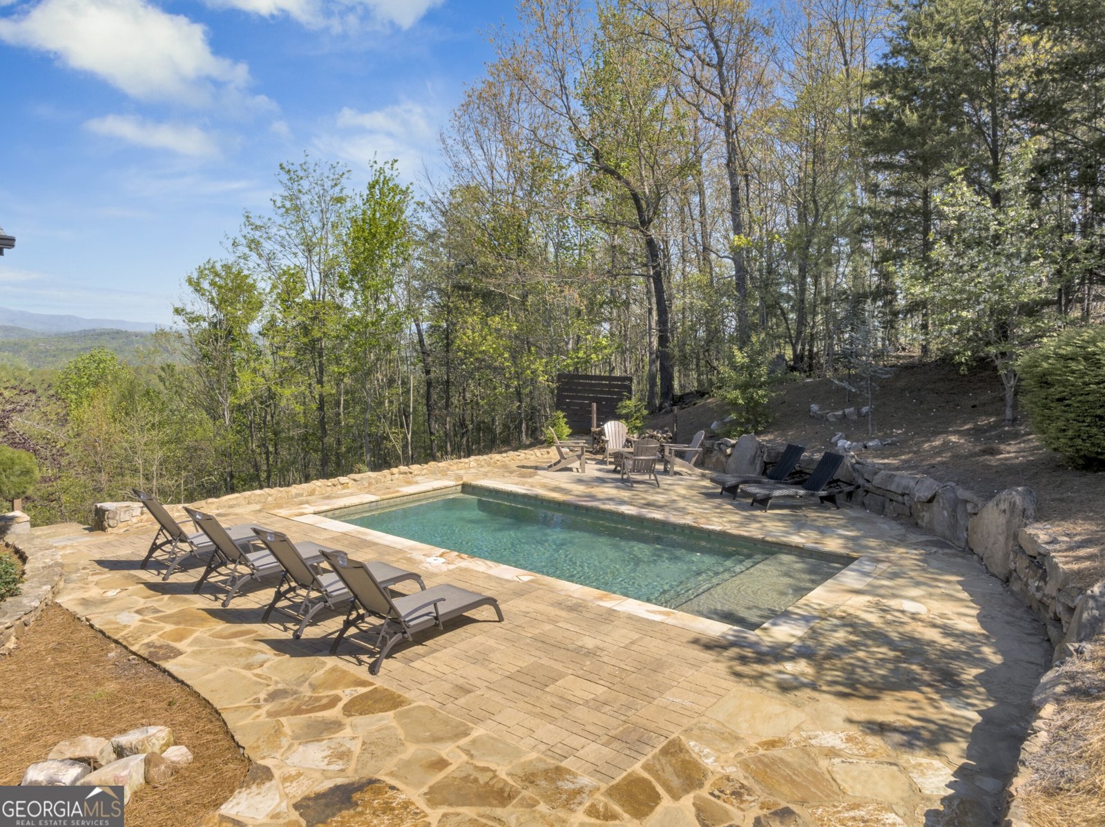 539 Deer Crest Overlook Blue Ridge - 4