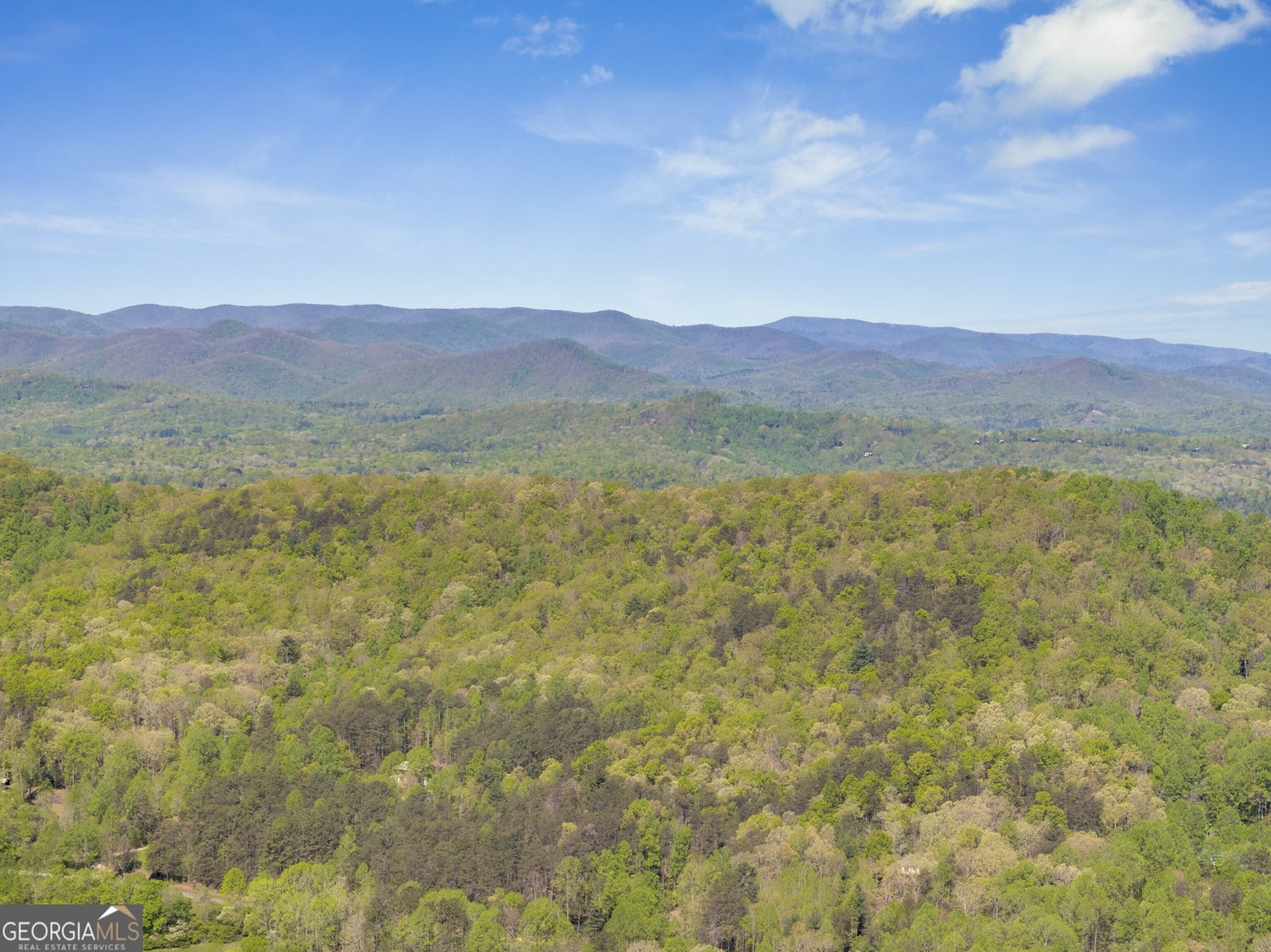 539 Deer Crest Overlook Blue Ridge - 9
