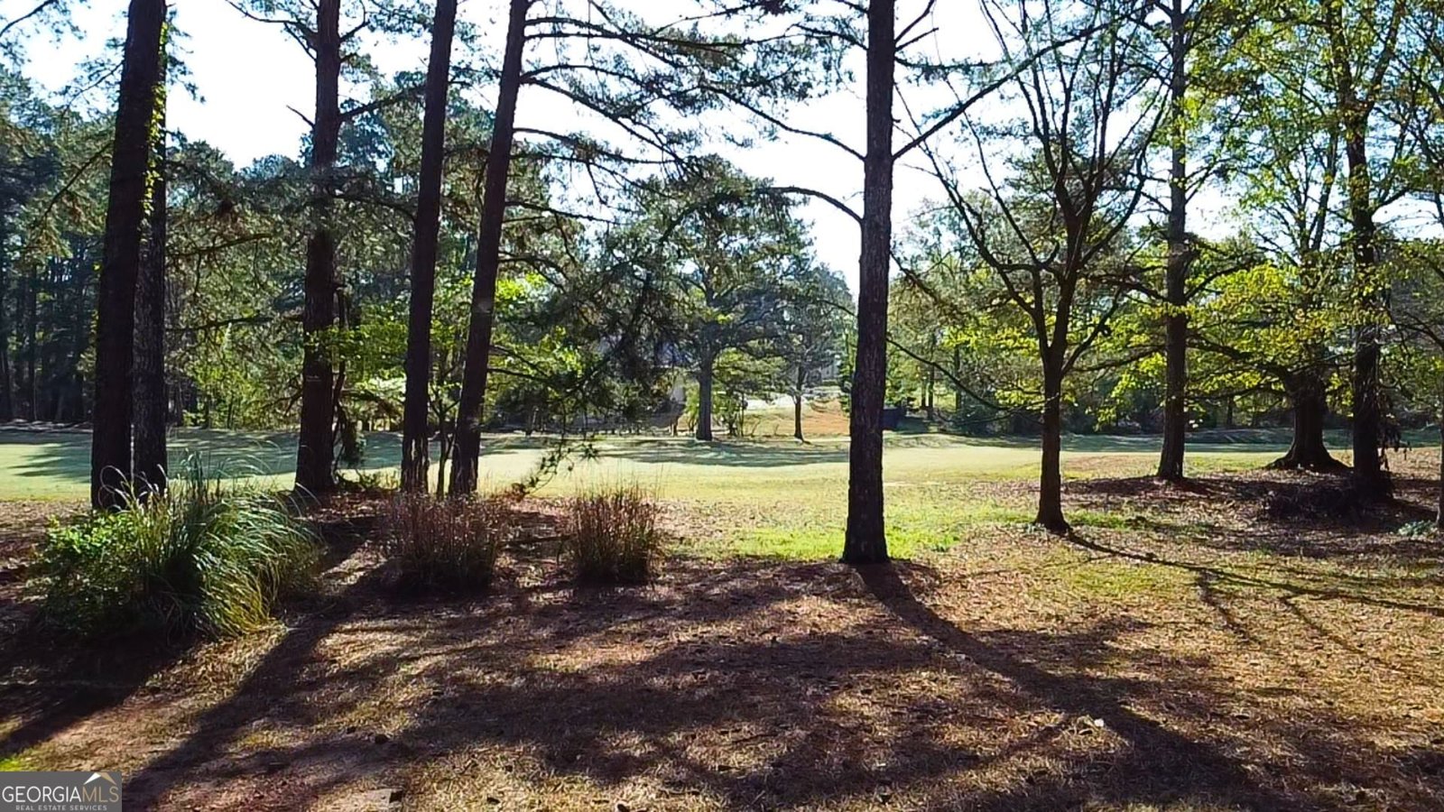 8040 Classic Drive Jonesboro - 54