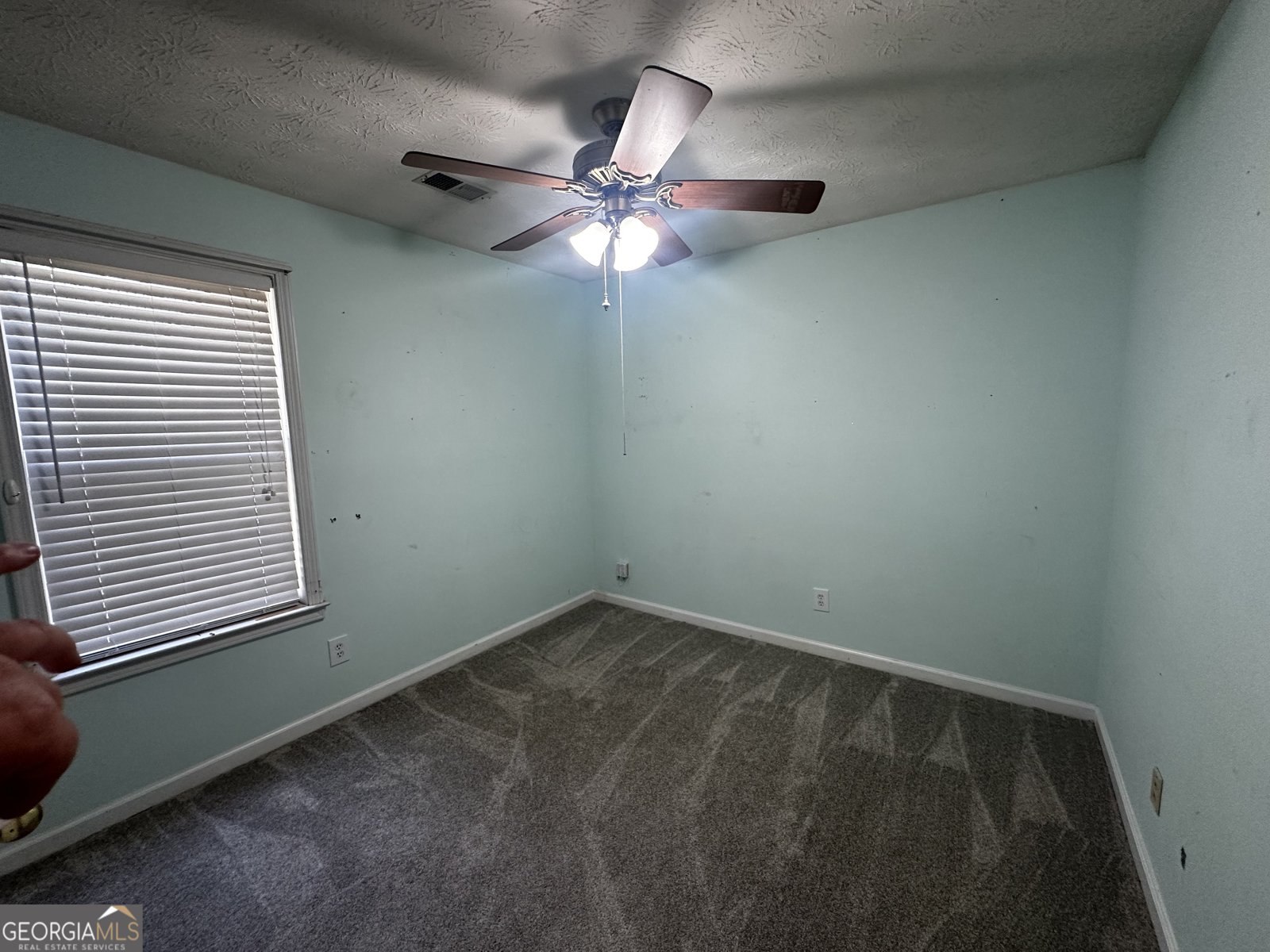 3938 Hawks Nest Court Duluth - 4