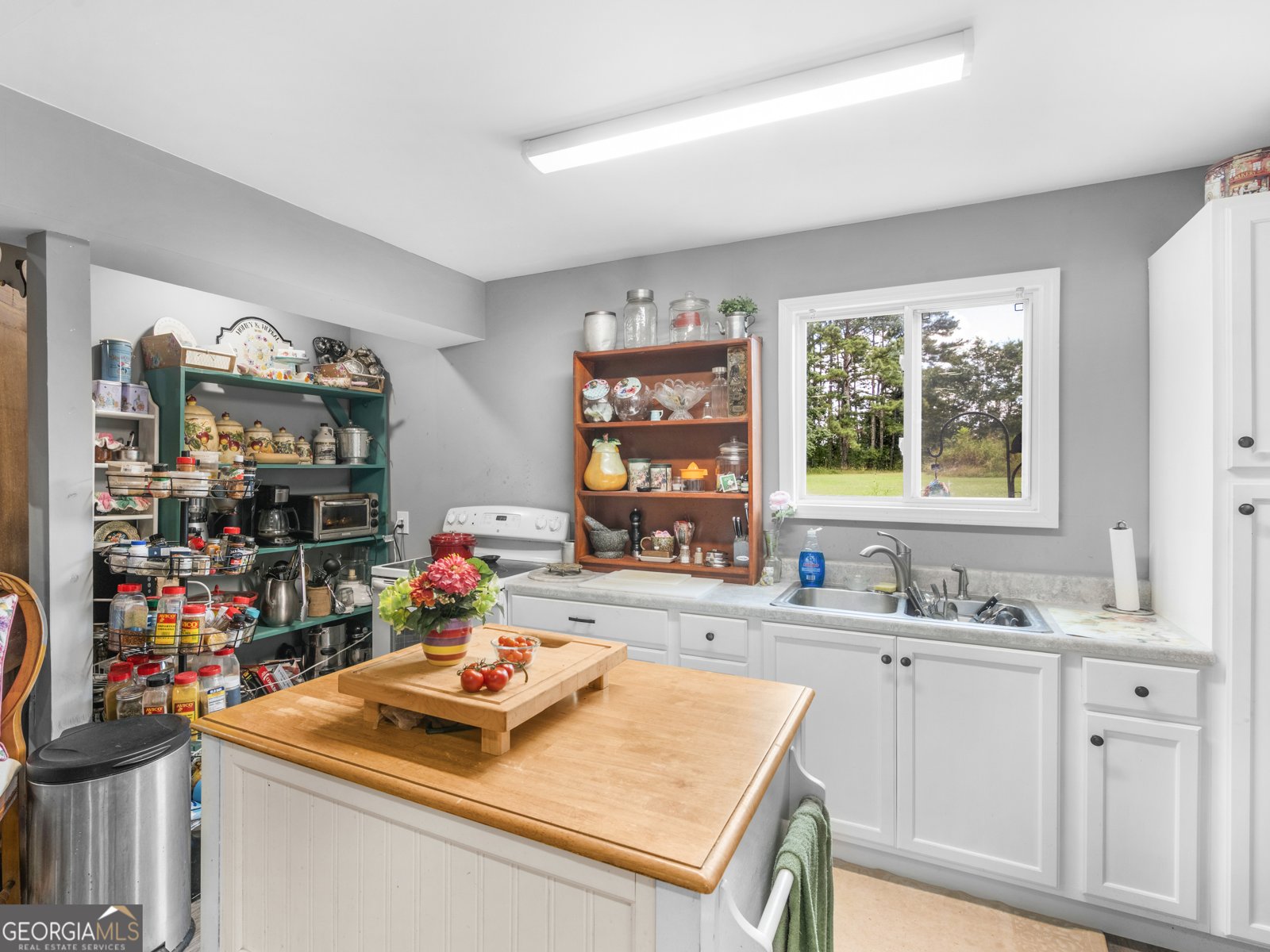 1360 Luella Rd Locust Grove - 39