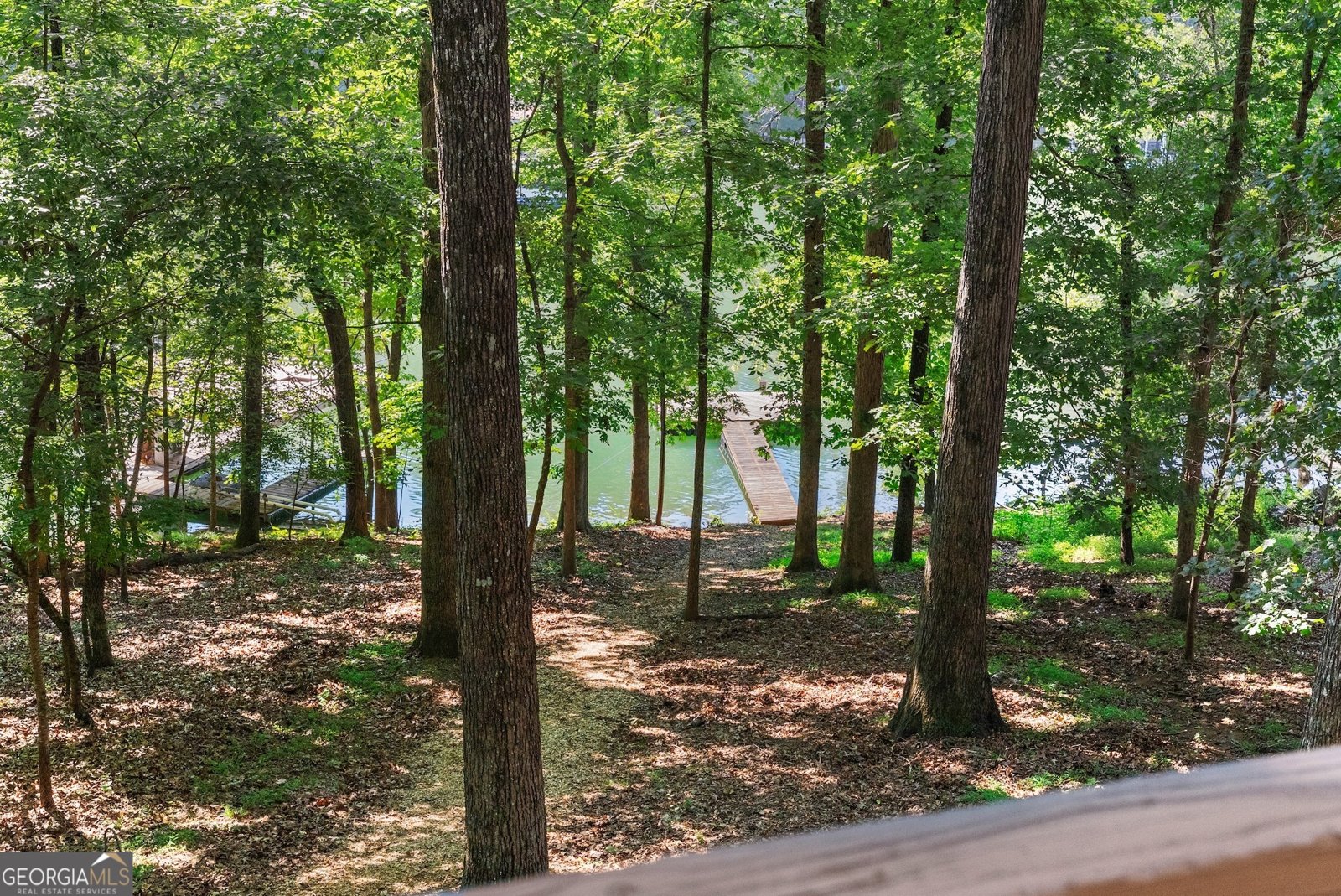 8915 Bridgeview Circle Gainesville - 30