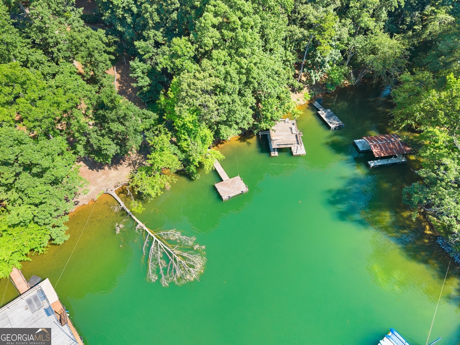 8915 Bridgeview Circle Gainesville - 52