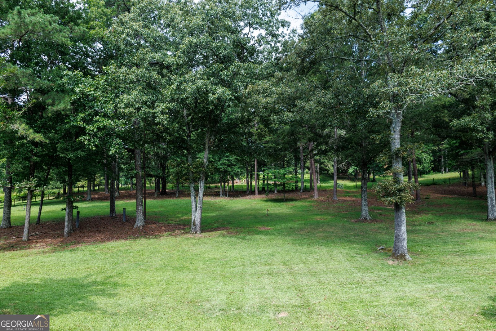 164 Snead Road Fayetteville - 58
