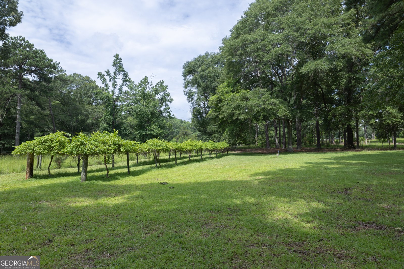 164 Snead Road Fayetteville - 59