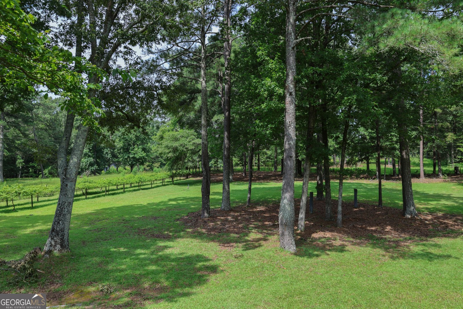 164 Snead Road Fayetteville - 60