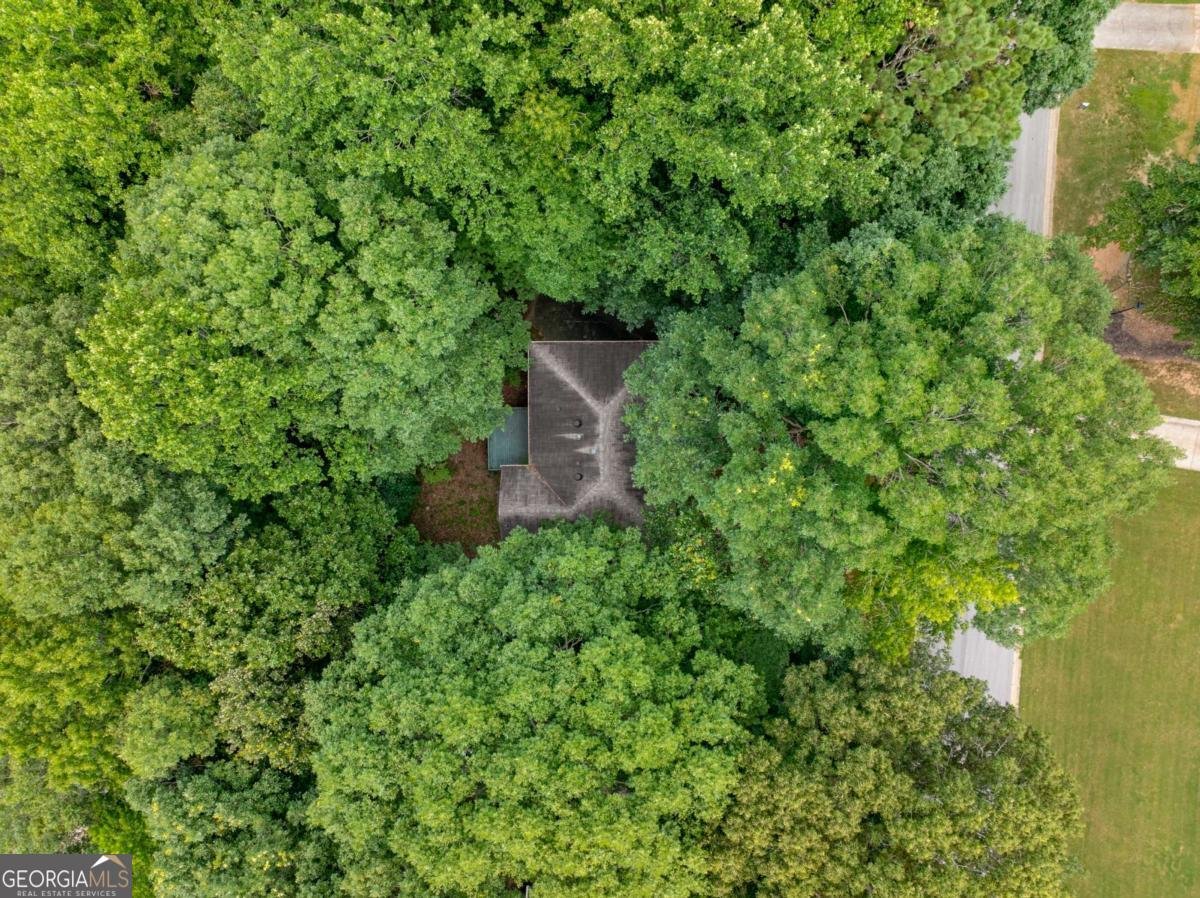 511 Lakeside Drive Hiram - 37
