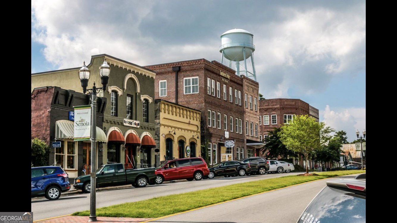 91 Bourbon Street Senoia - 28