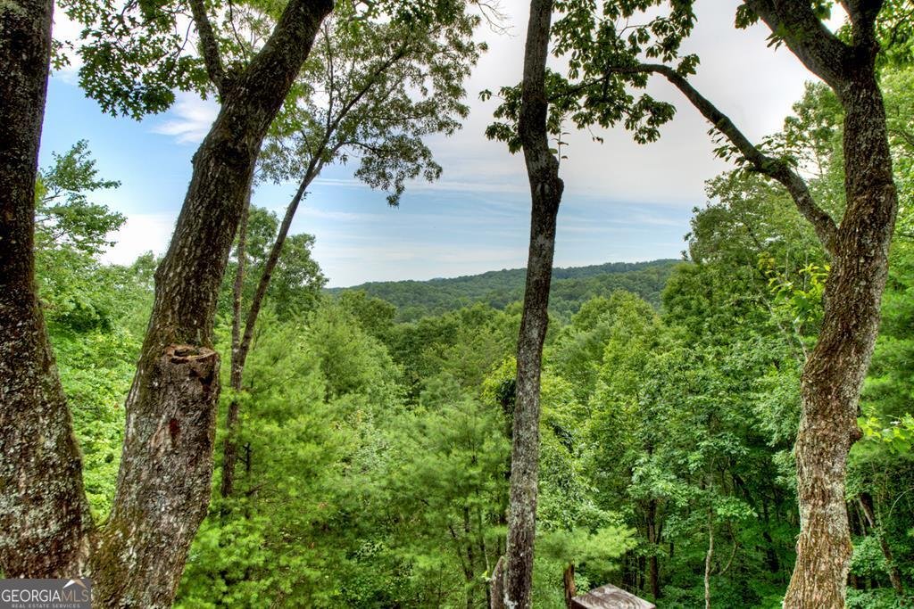 566 Mountain View Circle Blue Ridge - 13