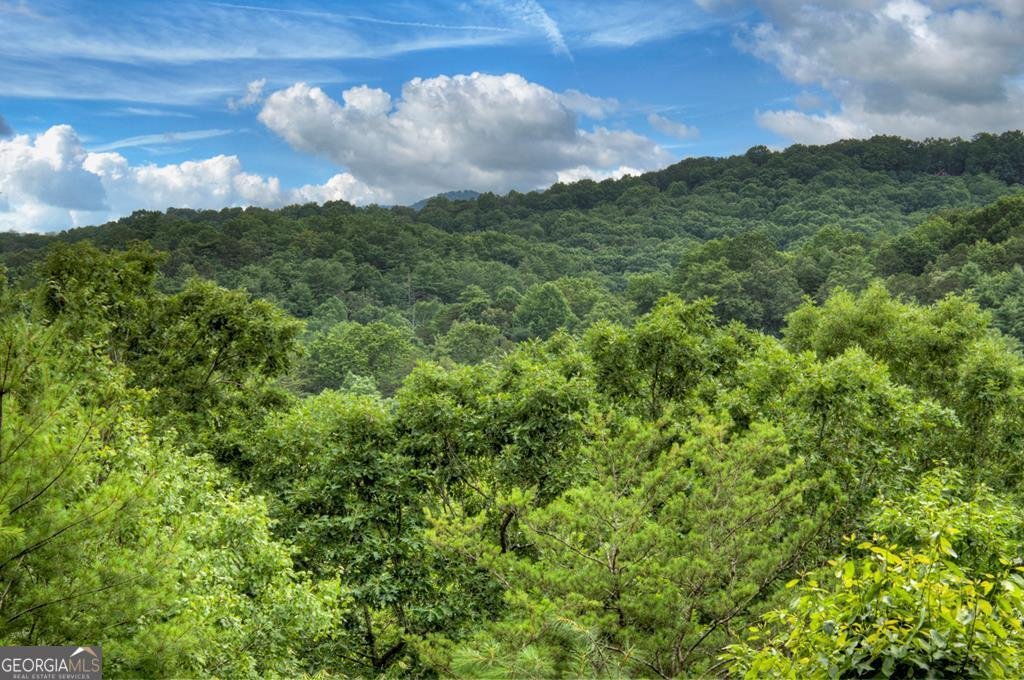 566 Mountain View Circle Blue Ridge - 15