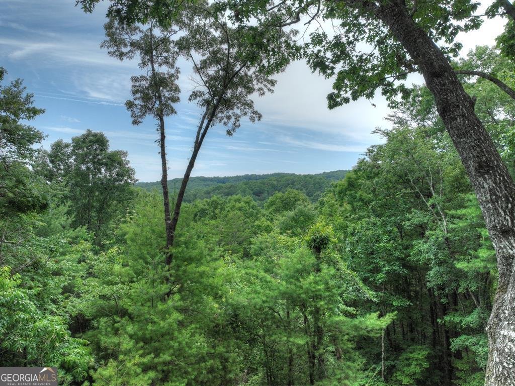 566 Mountain View Circle Blue Ridge - 18