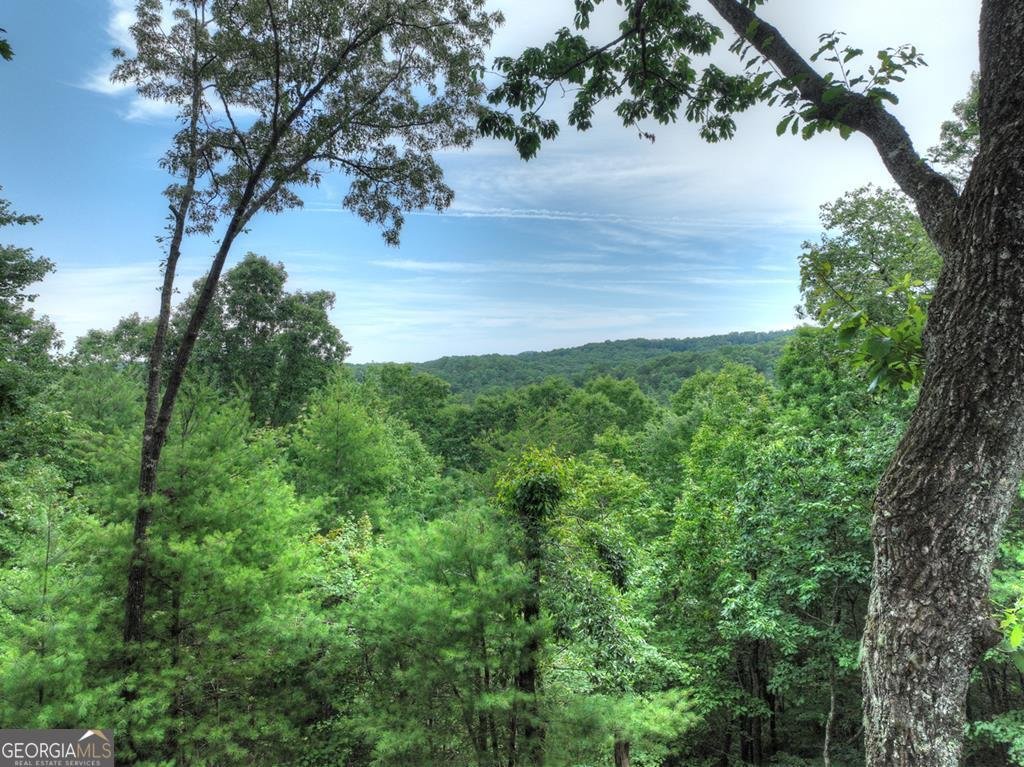 566 Mountain View Circle Blue Ridge - 41