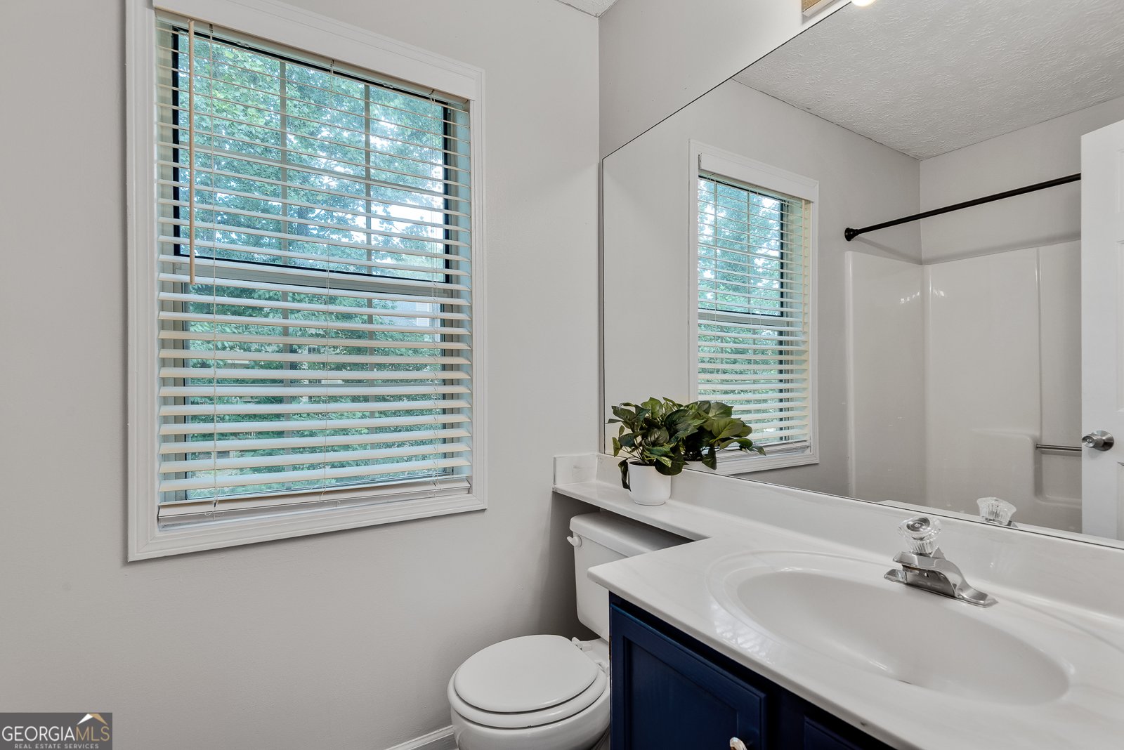 245 Magnolia Tree Court Alpharetta - 24