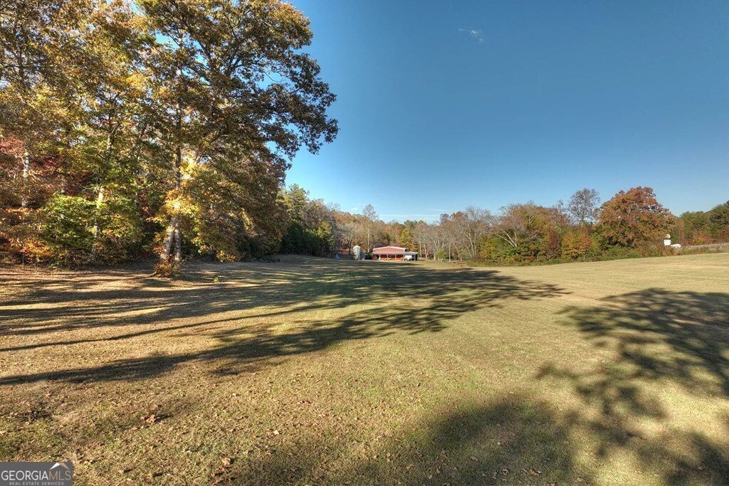 4011 Murphy Highway Mineral Bluff - 10
