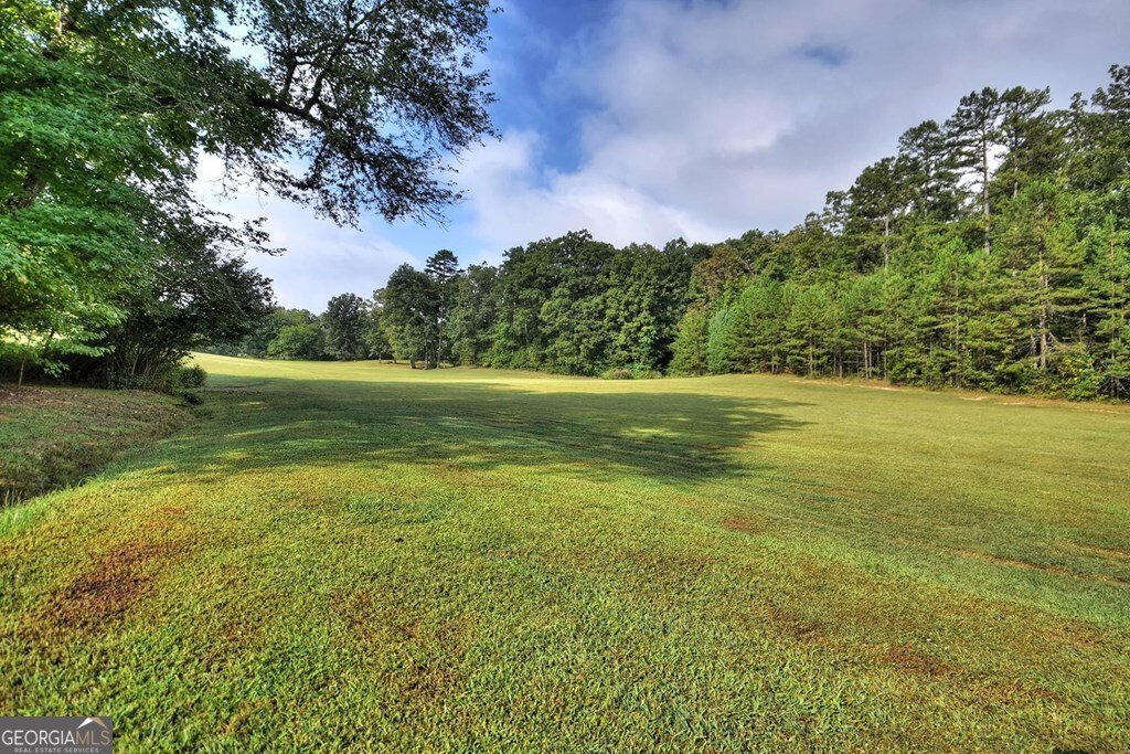 4011 Murphy Highway Mineral Bluff - 25