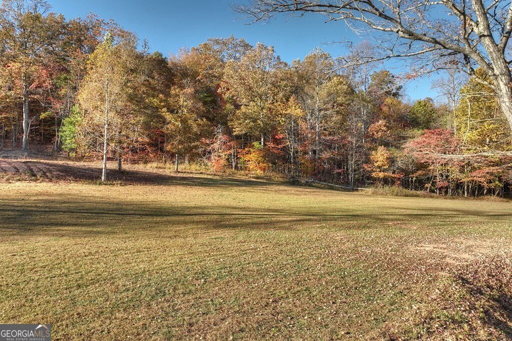 4011 Murphy Highway Mineral Bluff - 35