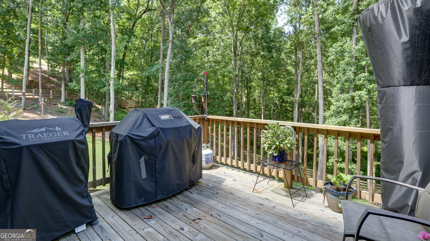 1 Grey Swan Way Way Dawsonville - 29