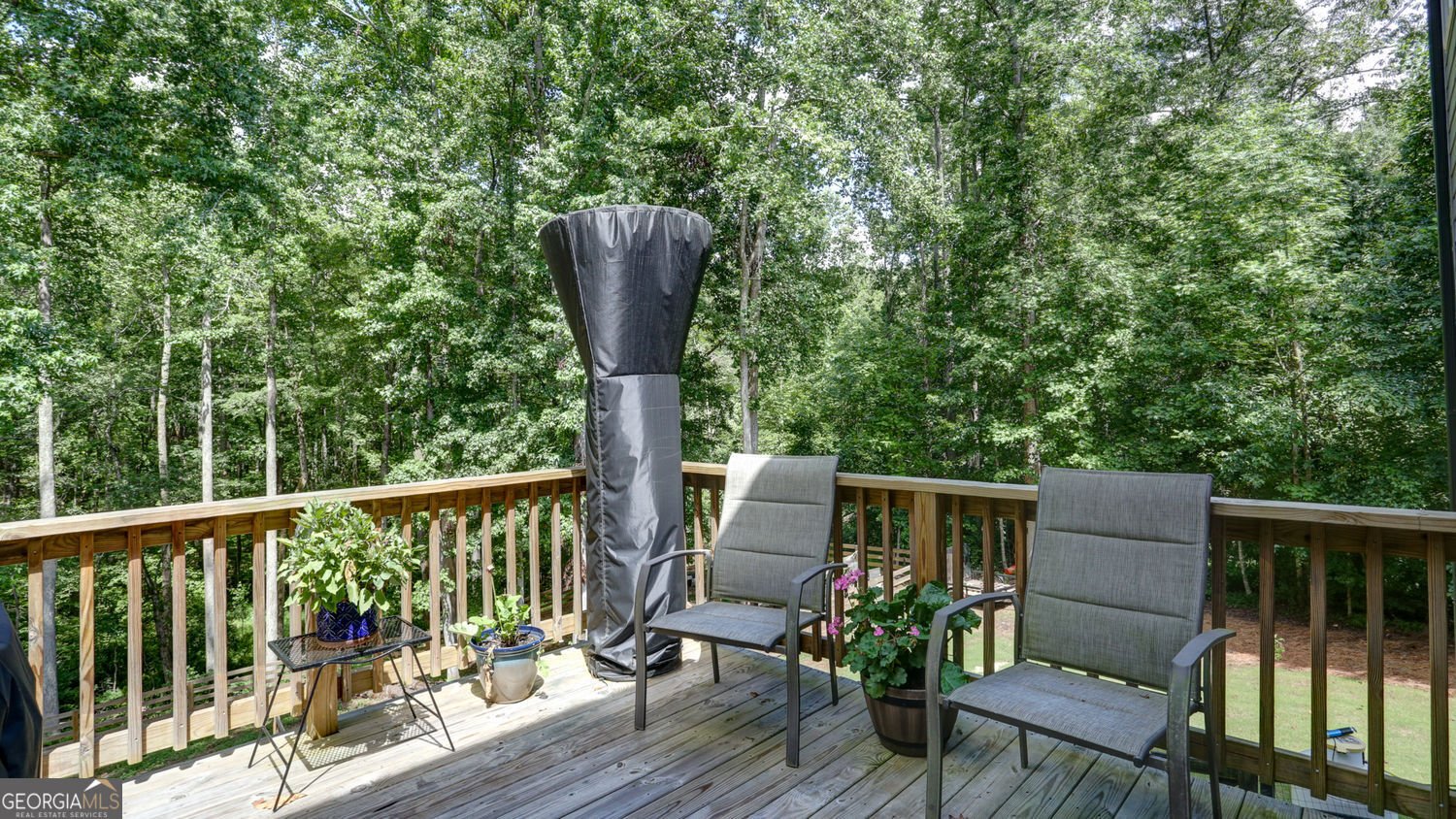 1 Grey Swan Way Way Dawsonville - 30